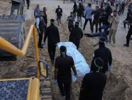 تنزيل (15).jpeg