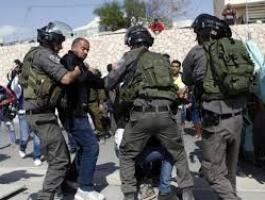 تنزيل (15).jpeg