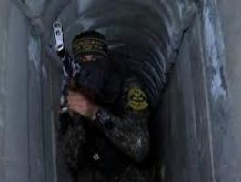 تنزيل (23).jpeg