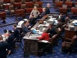 تنزيل (24).jpeg