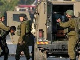 تنزيل (17).jpeg