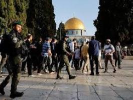 تنزيل (13).jpeg