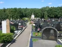 محاولة اغتيال