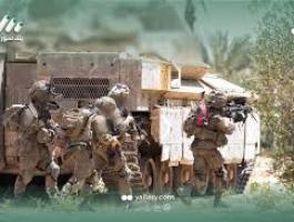 تنزيل (15).jpeg