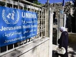 تنزيل (20).jpeg