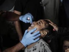 تنزيل (20).jpeg