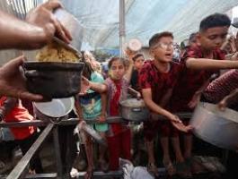 تنزيل (27).jpeg