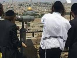 تنزيل (31).jpeg