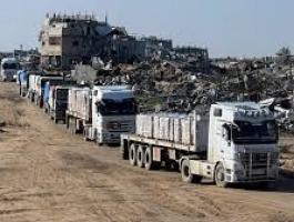 تنزيل (15).jpeg