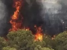 حريق يلتهم غابات إيرانية مُدرجة على قائمة 