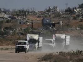 تنزيل (26).jpeg