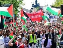 تنزيل (15).jpeg