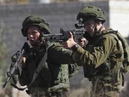 تنزيل (15).jpeg