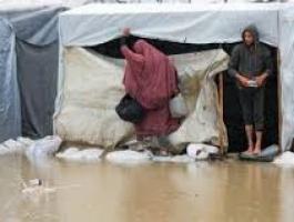 تنزيل (31).jpeg