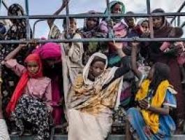 تنزيل (23).jpeg