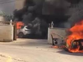 تنزيل (29).jpeg