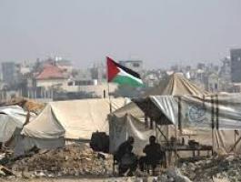 تنزيل (26).jpeg