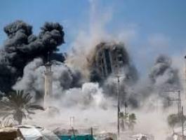 تنزيل (20).jfif