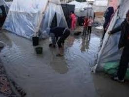 تنزيل (20).jfif