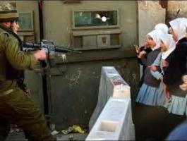 تنزيل (21).jfif