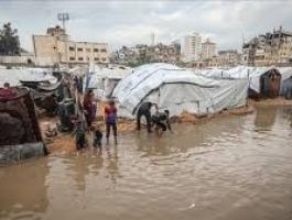 تنزيل (20).jfif