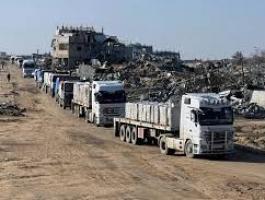 تنزيل (15).jpeg