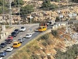 تنزيل (24).jfif