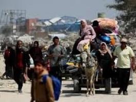 تنزيل (18).jfif