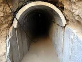 تنزيل (21).jfif