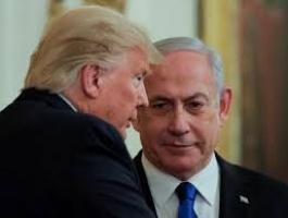 تنزيل (24).jfif