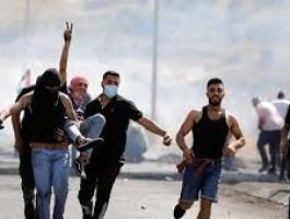 تنزيل (23).jpeg