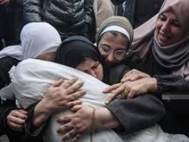 تنزيل (10).jfif