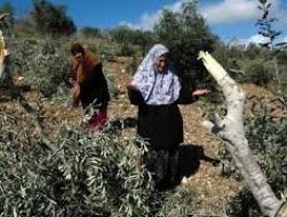 تنزيل (20).jpeg