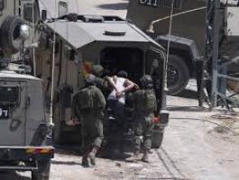 تنزيل (20).jfif