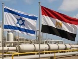 تنزيل (13).jfif