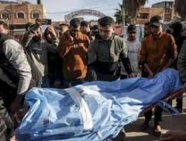 تنزيل (23).jfif