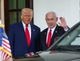 تنزيل (22).jfif