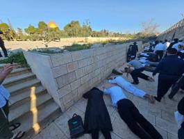 سجود ملحمي.jpg