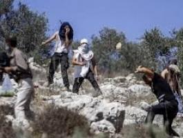 تنزيل (25).jpeg