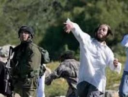 تنزيل (14).jfif