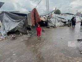 تنزيل (17).jpeg