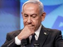 تنزيل (29).jpeg