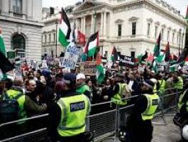 تنزيل (15).jpeg