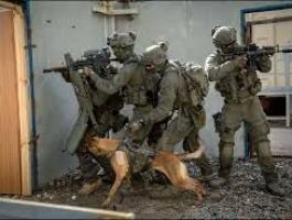 تنزيل (23).jfif