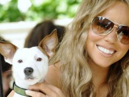 mariah-carey-wallpaper-photos-gallery-oqedkmqqh2-980x498