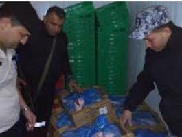 جنين: ضبط 200 كيلو أجنحة دجاج فاسدة