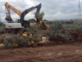 الاحتلال يجرف أراض زراعية ويهدم منشأة تجارية في الضفة الغربية