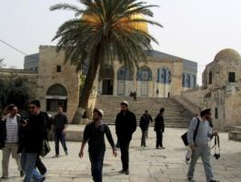 مستوطنون يجددون اقتحامهم للأقصى من باب المغاربة