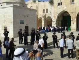 11 مستوطناً ومخابرات الاحتلال يقتحمون المسجد الأقصى