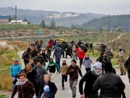 تواصل الفعاليات المناوئة للجدار في قرية 